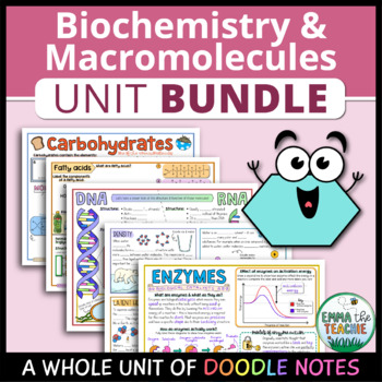 Preview of Biochemistry and Macromolecules Unit - Doodle Notes BUNDLE