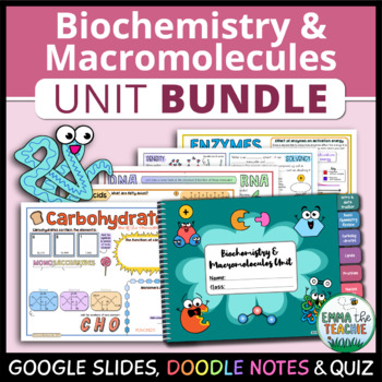 Preview of Biochemistry and Macromolecules Unit - Google Slides, Doodle Notes & Quiz BUNDLE