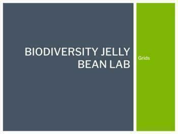 Preview of Biodiversity Jelly Bean Lab