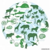 Biodiversity Lab Worksheet (Environmental Science, Ecology) 