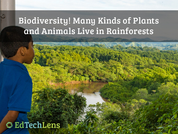 Biodiversity - Many Plants and Animals Live in Rainforests Distance  Learning PPT