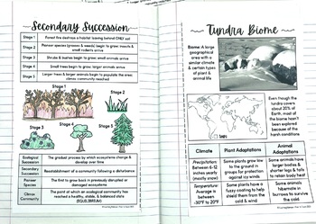 https://ecdn.teacherspayteachers.com/thumbitem/Biodiversity-Mini-Anchor-Charts-for-Middle-School-Science-8983390-1673441110/original-8983390-4.jpg