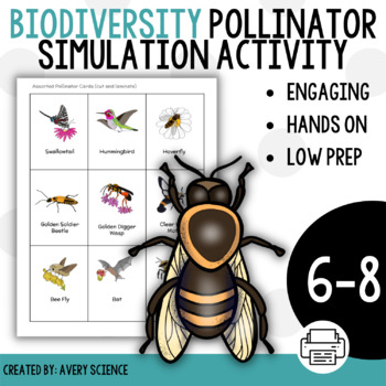 Preview of Biodiversity Pollinator Simulation Activity