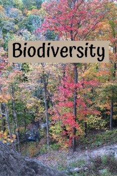 Preview of Biodiversity QUESTION CARDS
