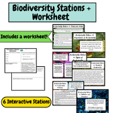 Biodiversity: Station Activity and Worksheet