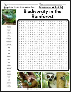 Rainforest word search