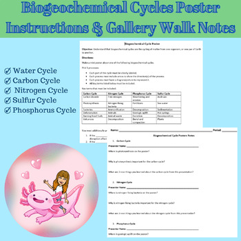 Preview of Biogeochemical Cycle Poster Instructions & Gallery Walk Notes