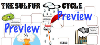Preview of Biogeochemical Cycles Board Games/Notes