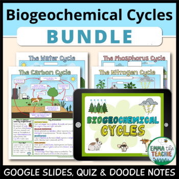 Preview of Biogeochemical Cycles Activity Bundle, Carbon, Nitrogen, Phosphorus, Water Cycle