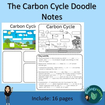 Preview of Biogeochemical Cycles-Carbon Cycle Doodle Notes