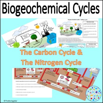 Preview of Biogeochemical Cycles Carbon Cycle Nitrogen Cycle Worksheet
