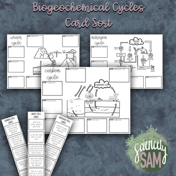 Preview of Biogeochemical Cycles Card Sort