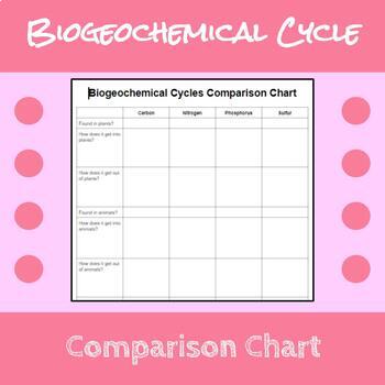 Preview of Biogeochemical Cycles Comparison Chart