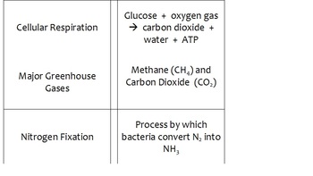 Preview of Biogeochemical Cycles Concentration Vocabulary Builder