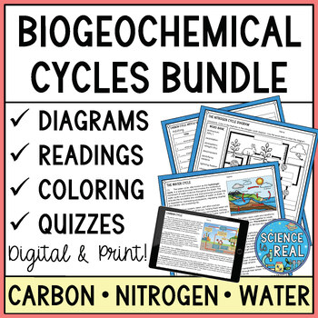 Preview of Biogeochemical Cycles Diagrams Worksheets Bundle