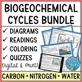 Biogeochemical Cycles Diagrams and Questions - Digital & P