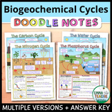 Biogeochemical Cycles Doodle Notes - Water, Carbon, Nitrogen, Phosphorus