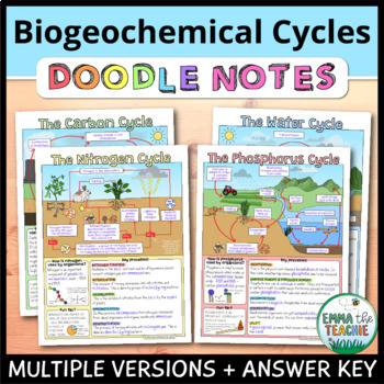Preview of Biogeochemical Cycles Doodle Notes - Carbon, Nitrogen, Phosphorus, Water Cycle
