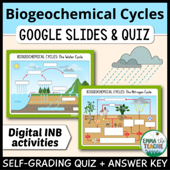 Preview of Biogeochemical Cycles Digital Activity - Carbon Nitrogen Phosphorus Water Cycle
