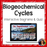 Biogeochemical Cycles Interactive Diagram