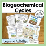 Biogeochemical Cycles: Nitrogen, Phosphorus, and Carbon