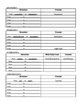 Preview of Biogeochemical Cycles Organizer