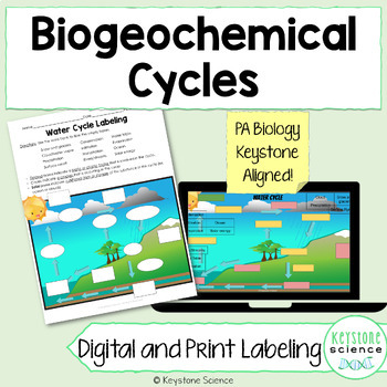 Preview of Biogeochemical Cycles Overview and Diagram Labeling Water Carbon Nitrogen Cycle