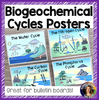 Preview of Biogeochemical Cycles Poster Pack