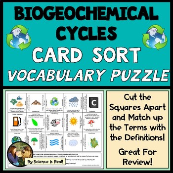Preview of Biogeochemical Cycles Vocabulary Card Sort Puzzle