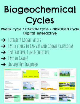 Preview of Biogeochemical Cycles / Water Cycle / Carbon Cycle / Nitrogen Cycle