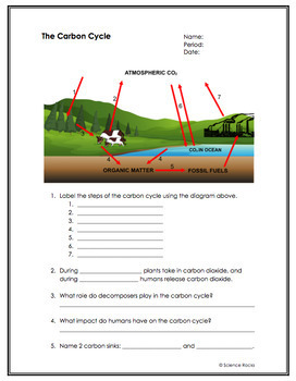 Biogeochemical Cycles Worksheets by Science Lessons That Rock | TpT