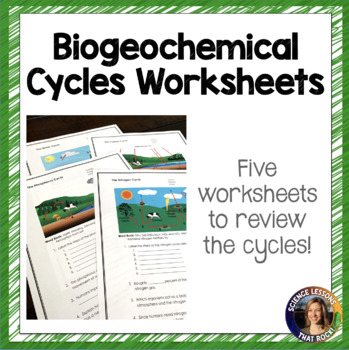 Preview of Biogeochemical Cycles Worksheets
