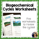 Biogeochemical Cycles Worksheets