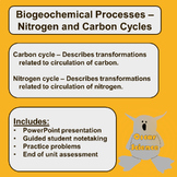 Biogeochemical Processes: Carbon Cycle and Nitrogen Cycle