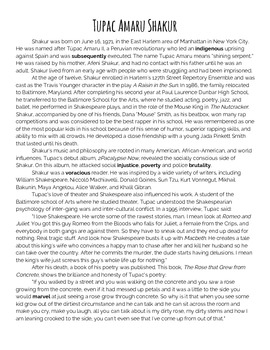 Реферат: 2Pac Shakur Essay Research Paper 2Pac Shakur