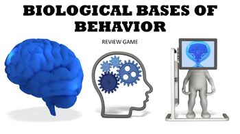 Preview of Biological Bases of Behavior PowerPoint Review Game for Psychology