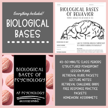 Preview of Biological Bases of Behavior Unit PowerPoint Bundle (45-50 Minute Class Periods)