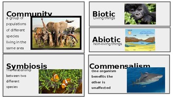 Preview of Biological Diversity Word Wall