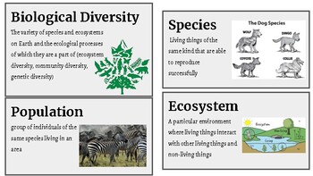 Preview of Biological Diversity Word Wall