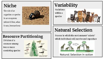 2023 WeDigBio's Why Dig Bio–Major Motivations Across Scale for Digitizing  Biodiversity on Vimeo