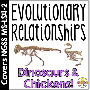 Preview of Biological Evolution: Evidence of Evolutionary Relationships {NGSS MS-LS4}