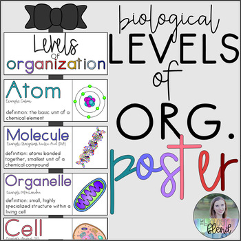 Preview of Biological Levels of Organization Hanging Poster- Ready to Print/Cut
