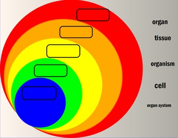 Preview of Biological Levels of Organization- Interactive Flipchart