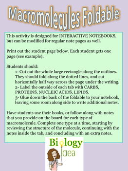 Biological Macromolecules Foldable for Interactive Notebooks | TpT