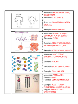 Biological Macromolecules Foldable for Interactive Notebooks | TpT