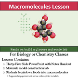 Biological Macromolecules Lesson - Menu Creation & Model C