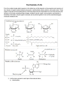 Preview of Biological Molecules - The Chemistry of Life