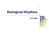 Biological Rhythms.