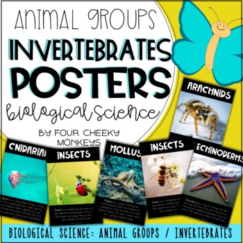 Preview of Biological Science Posters - animal groups // invertebrates display charts