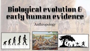 Biological evolution & early human evidence ppt - anthropology | TPT